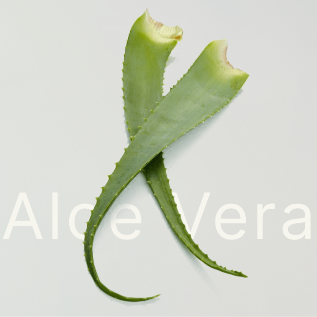 deephine aloe vera bio leaves