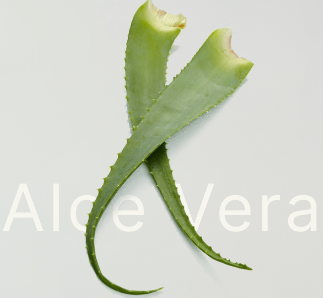 PRODOTTI CON ESTRATTO DI ALOE VERA. LA REALE SOLUZIONE CONTRO LE IMPERFEZIONI DELLA PELLE?